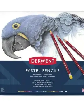 Pastel pencil set of 24