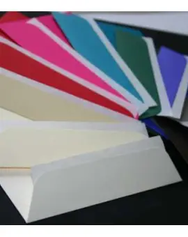 Discounted Envelopes